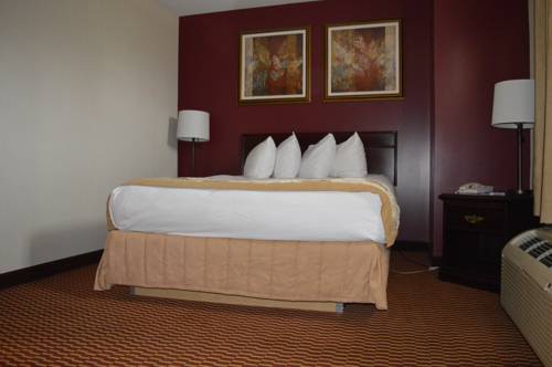 Imagen de la habitación del Hotel Best Western Of Olds. Foto 12