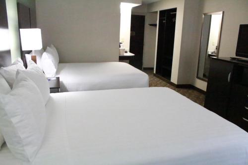 Imagen de la habitación del Hotel Best Western Okemos/east Lansing & Suites. Foto 3