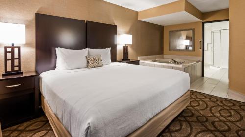 Imagen de la habitación del Hotel Best Western Okemos/east Lansing & Suites. Foto 10