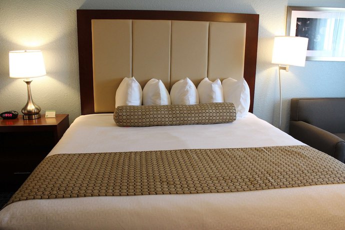 Imagen de la habitación del Hotel Best Western On The River. Foto 4