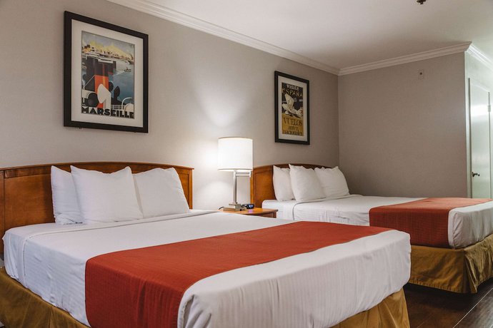 Imagen de la habitación del Hotel Best Western Palm Garden Inn. Foto 15