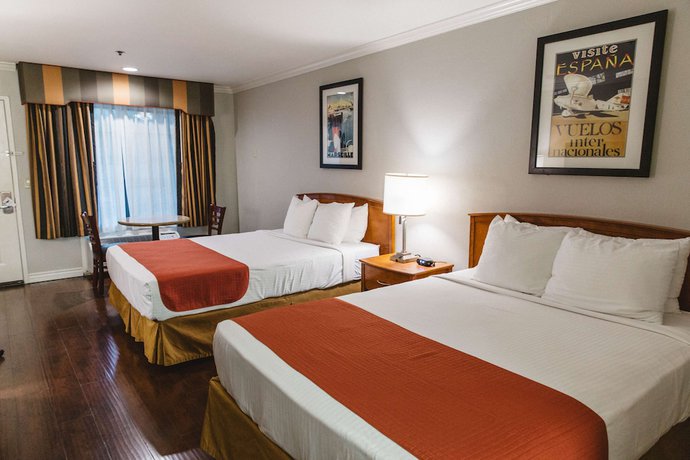 Imagen de la habitación del Hotel Best Western Palm Garden Inn. Foto 17