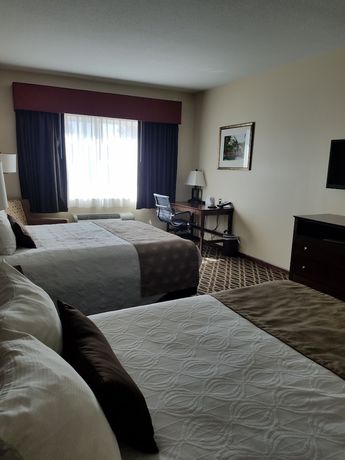 Imagen de la habitación del Hotel Best Western Paradise Inn, Savoy. Foto 12