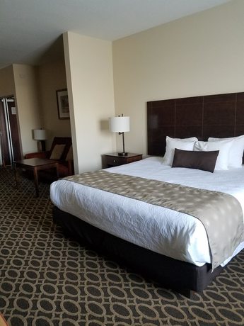 Imagen de la habitación del Hotel Best Western Paradise Inn, Savoy. Foto 15
