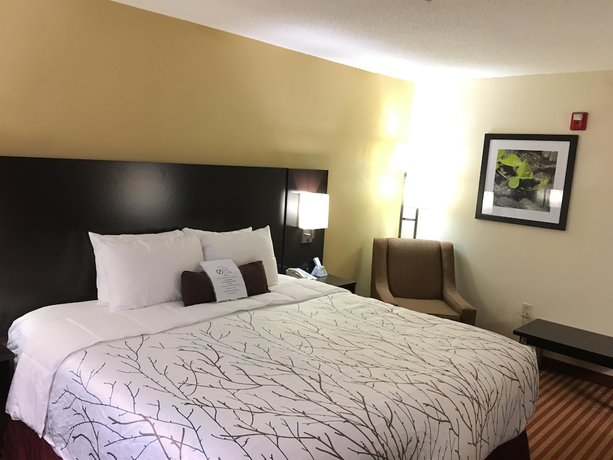 Imagen de la habitación del Hotel Best Western Patriots Point. Foto 9