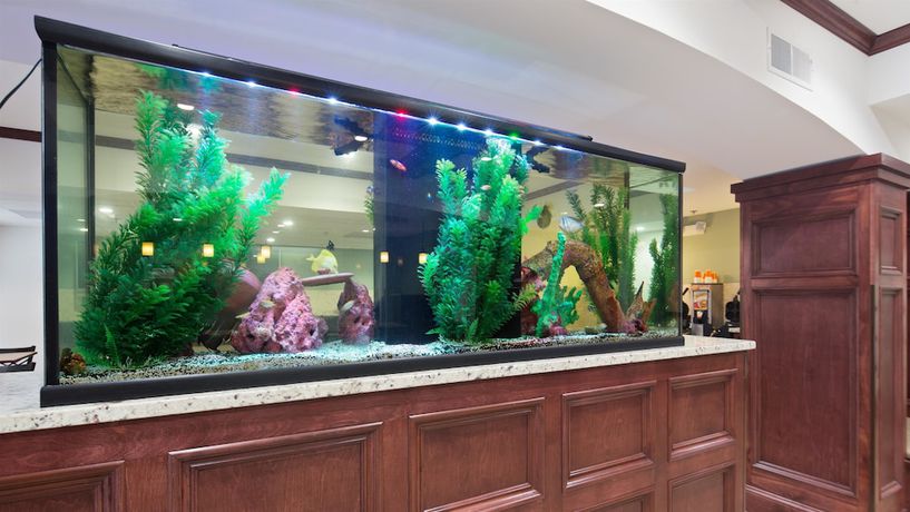 Imagen de los interiores del Hotel Best Western Patriots Point. Foto 18
