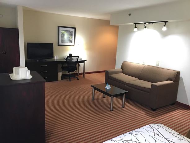 Imagen de la habitación del Hotel Best Western Patriots Point. Foto 13