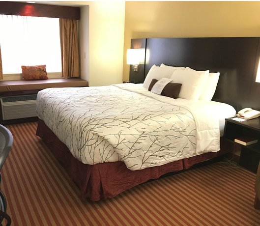 Imagen de la habitación del Hotel Best Western Patriots Point. Foto 15