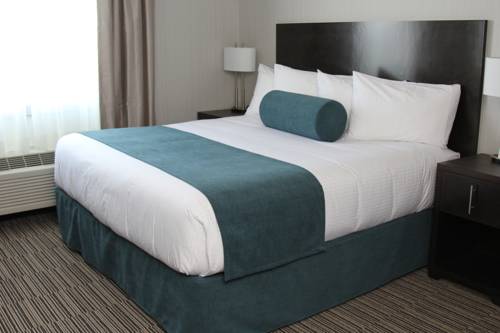 Imagen de la habitación del Hotel Best Western Plus Airdrie Gateway. Foto 9