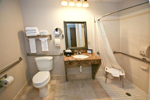 Imagen de la habitación del Hotel Best Western Plus Ambassador Suites Venice. Foto 7