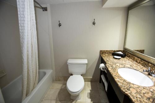 Imagen de la habitación del Hotel Best Western Plus Ambassador Suites Venice. Foto 10