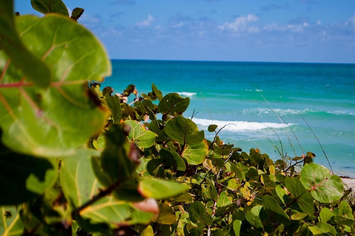 Imagen de los exteriores del Hotel Best Western Plus Atlantic Beach Resort. Foto 12