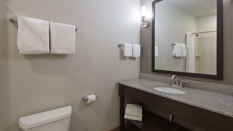 Imagen de la habitación del Hotel Best Western Plus Austin Airport Inn and Suites. Foto 17