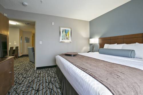 Imagen de la habitación del Hotel Best Western Plus Blaine At The National Sports Center. Foto 3