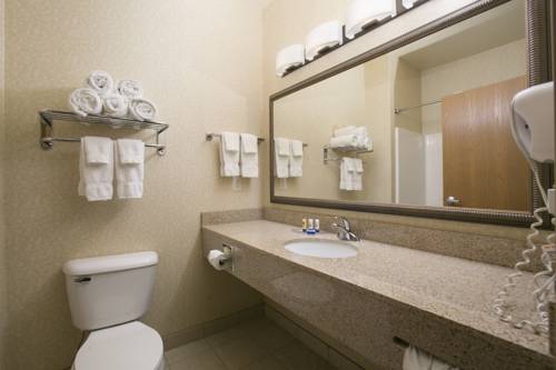 Imagen de la habitación del Hotel Best Western Plus Blaine At The National Sports Center. Foto 4