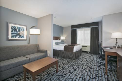 Imagen de la habitación del Hotel Best Western Plus Blaine At The National Sports Center. Foto 7