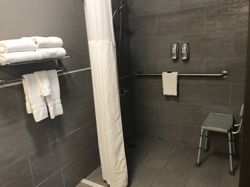 Imagen de la habitación del Hotel Best Western Plus Bowling Green. Foto 4