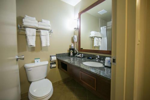 Imagen de la habitación del Hotel Best Western Plus Burley Inn & Convention Center. Foto 10