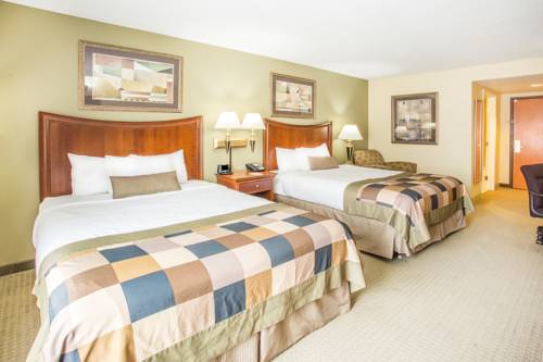 Imagen de la habitación del Hotel Best Western Plus Champaign/urbana Inn. Foto 4