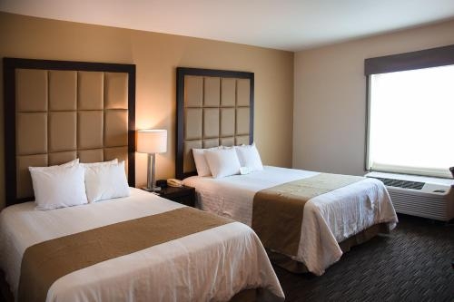 Imagen de la habitación del Hotel Best Western Plus Chihuahua Juventud. Foto 6