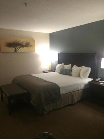 Imagen de la habitación del Hotel Best Western Plus City Center. Foto 5