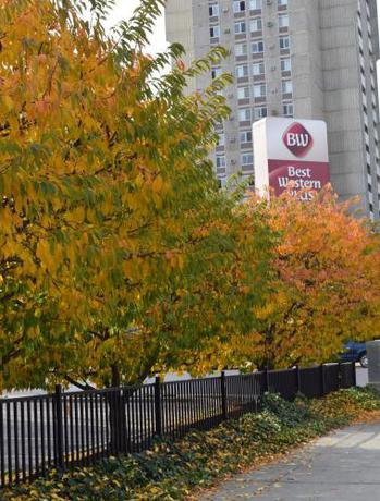 Imagen general del Hotel Best Western Plus City Center. Foto 2