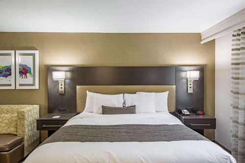 Imagen de la habitación del Hotel Best Western Plus Clemson Hotel & Conference Center. Foto 7