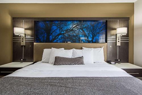 Imagen de la habitación del Hotel Best Western Plus Clemson Hotel & Conference Center. Foto 8