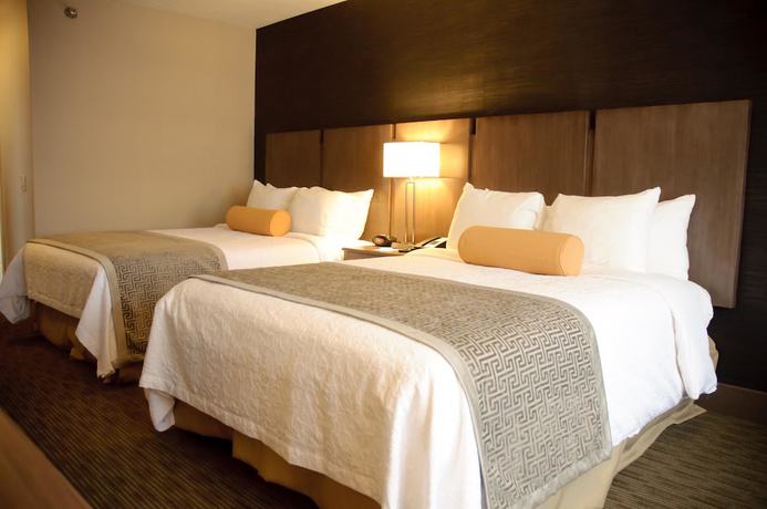 Imagen de la habitación del Hotel Best Western Plus Cotton Tree Inn. Foto 10