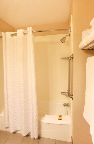 Imagen de la habitación del Hotel Best Western Plus Cotton Tree Inn. Foto 15