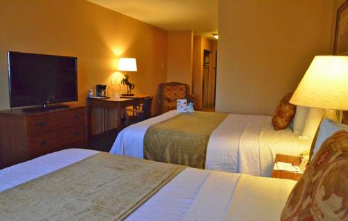 Imagen de la habitación del Hotel Best Western Plus Country Inn & Suites. Foto 10