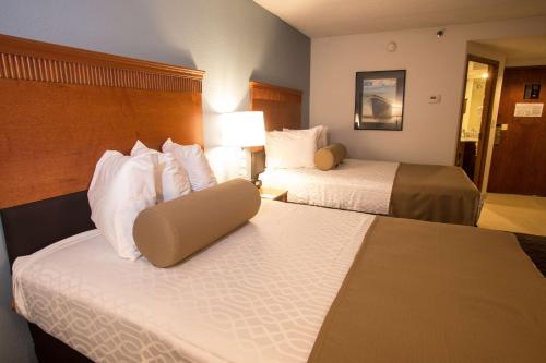 Imagen de la habitación del Hotel Best Western Plus Dayton South. Foto 7