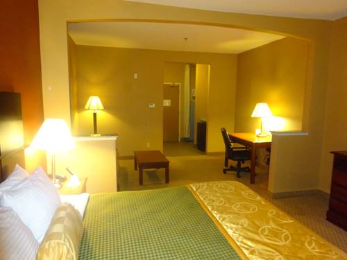Imagen de la habitación del Hotel Best Western Plus Denton Inn & Suites. Foto 7