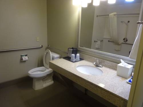 Imagen de la habitación del Hotel Best Western Plus Denton Inn & Suites. Foto 15