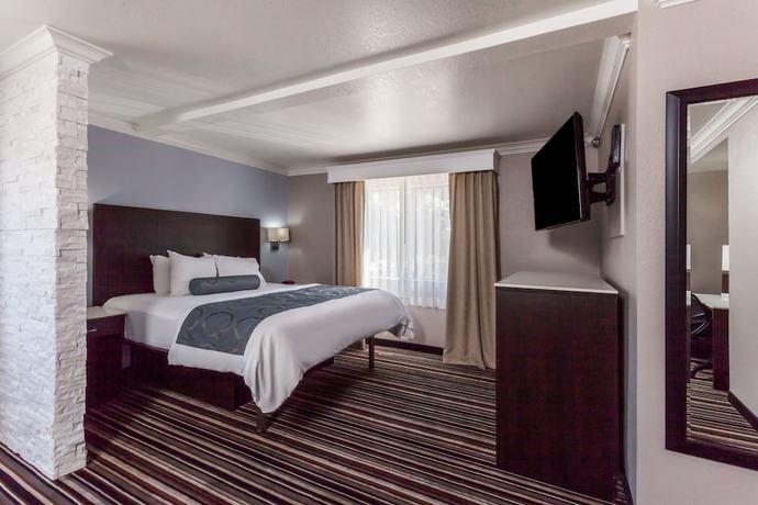 Imagen de la habitación del Hotel Best Western Plus Diamond Valley Inn. Foto 9