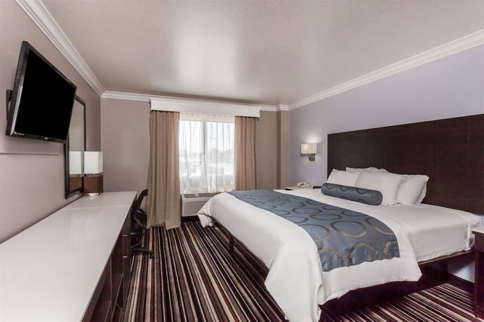 Imagen de la habitación del Hotel Best Western Plus Diamond Valley Inn. Foto 11