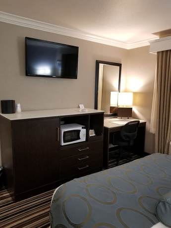 Imagen de la habitación del Hotel Best Western Plus Diamond Valley Inn. Foto 12