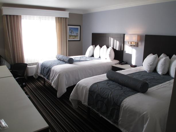 Imagen de la habitación del Hotel Best Western Plus Diamond Valley Inn. Foto 16