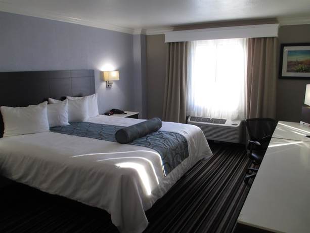 Imagen de la habitación del Hotel Best Western Plus Diamond Valley Inn. Foto 17