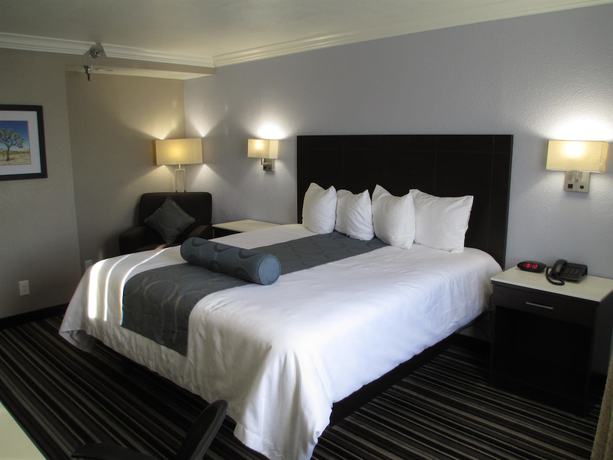 Imagen de la habitación del Hotel Best Western Plus Diamond Valley Inn. Foto 18