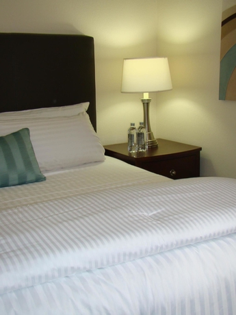 Imagen de la habitación del Hotel Best Western Plus Downtown Inn and Suites. Foto 5