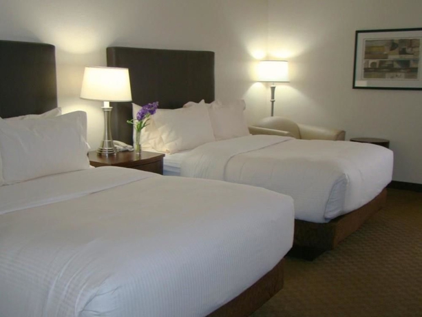 Imagen de la habitación del Hotel Best Western Plus Downtown Inn and Suites. Foto 7