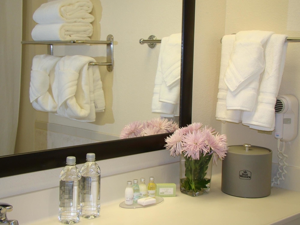 Imagen de la habitación del Hotel Best Western Plus Downtown Inn and Suites. Foto 8