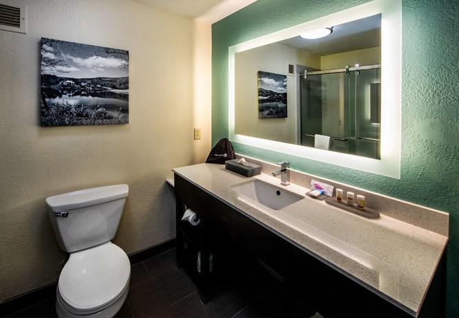 Imagen de la habitación del Hotel Best Western Plus Duluth / Sugarloaf. Foto 11