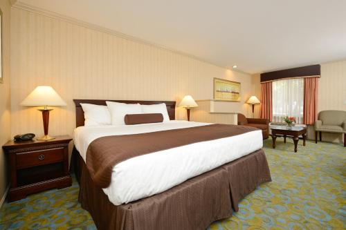 Imagen de la habitación del Hotel Best Western Plus Executive Suites. Foto 6