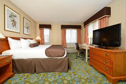 Imagen de la habitación del Hotel Best Western Plus Executive Suites. Foto 8