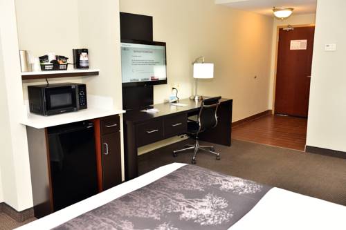 Imagen de la habitación del Hotel Best Western Plus Fairburn Atlanta Southwest. Foto 2