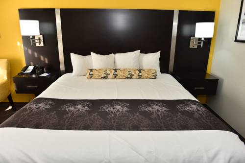 Imagen de la habitación del Hotel Best Western Plus Fairburn Atlanta Southwest. Foto 5