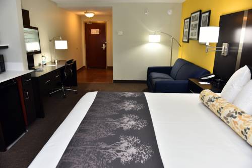 Imagen de la habitación del Hotel Best Western Plus Fairburn Atlanta Southwest. Foto 6