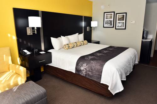 Imagen de la habitación del Hotel Best Western Plus Fairburn Atlanta Southwest. Foto 7